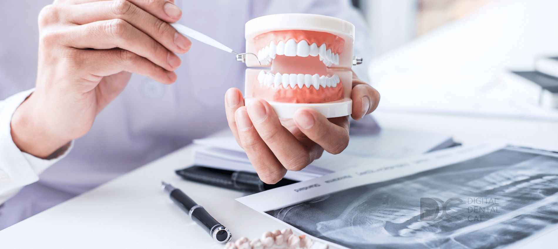 regeneración ósea dental